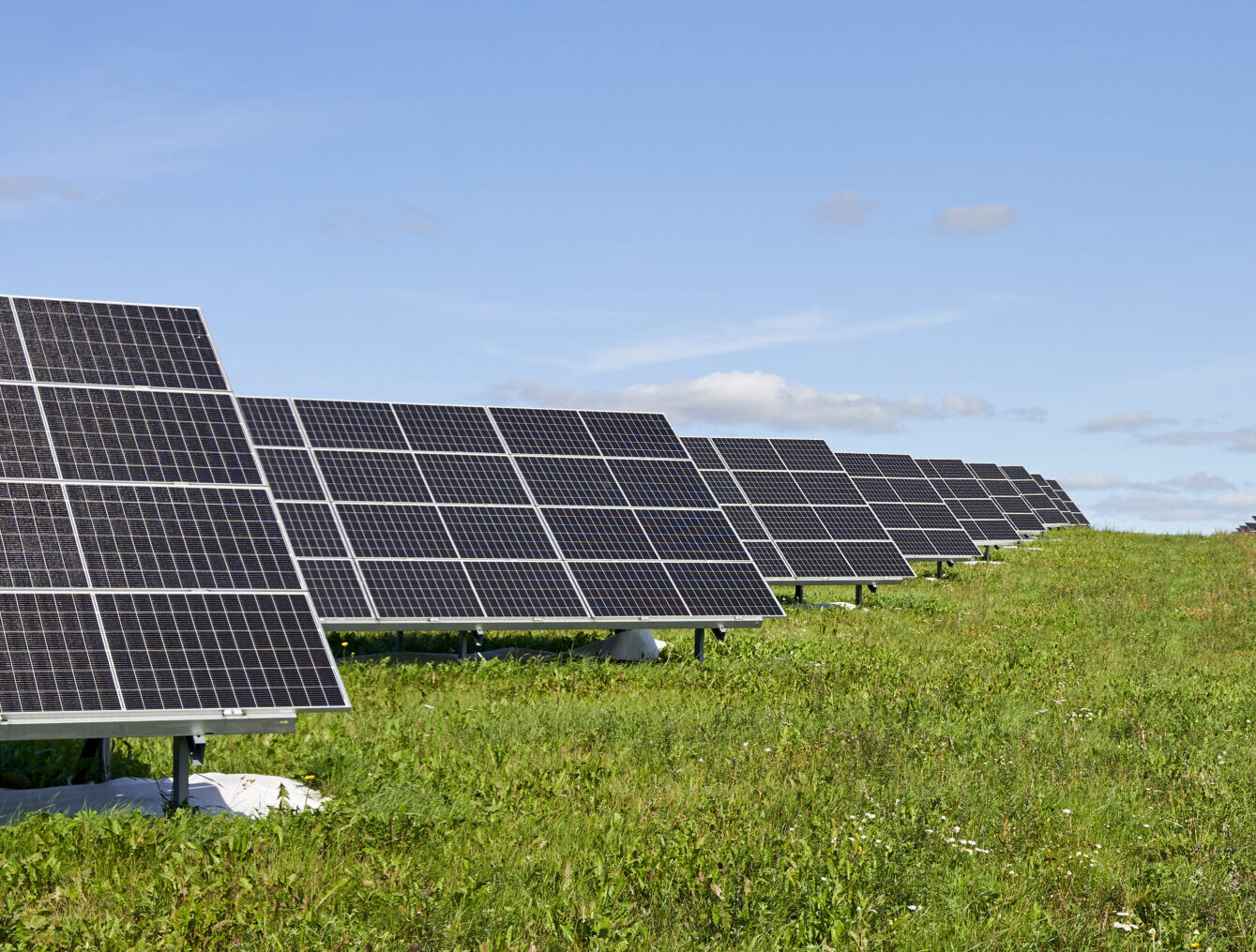 Niam Infrastructure and Evecon partner up for 110 MW of solar & storage in Latvia