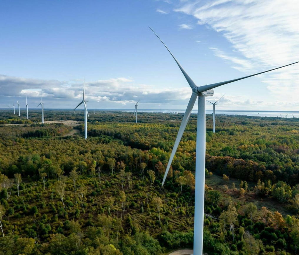 We take great care when planning wind farms